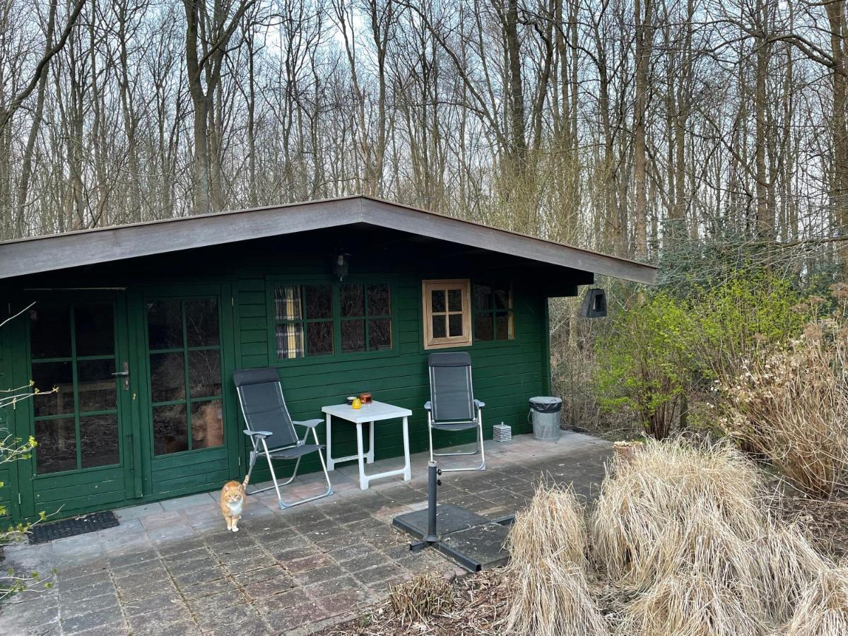 Bed and Breakfast D'Alde Pastorije Hornsterzwaag Экстерьер фото